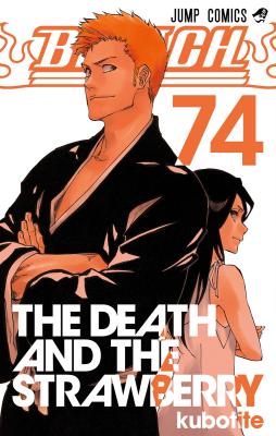 Bleach Cover